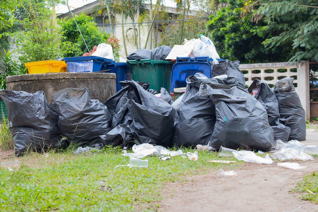 Garbage Pickup pile of garbage 2